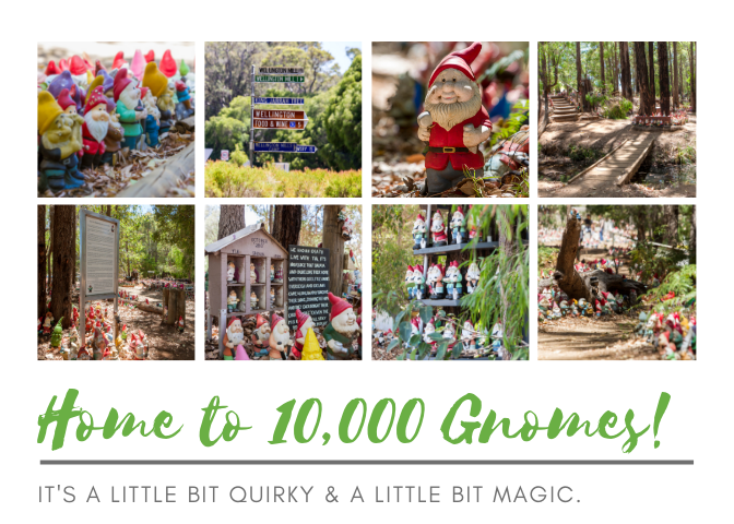 10,000 Gnomes