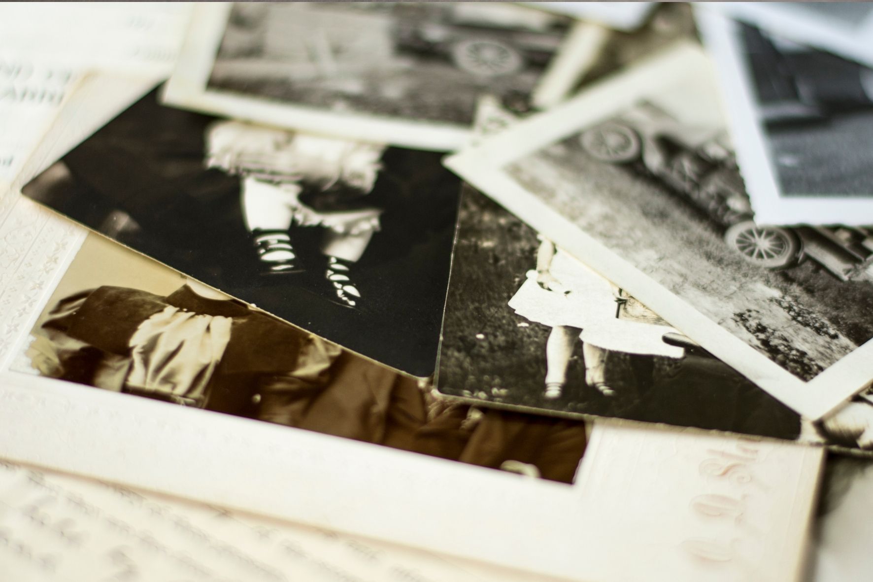 Discover your Family History Image