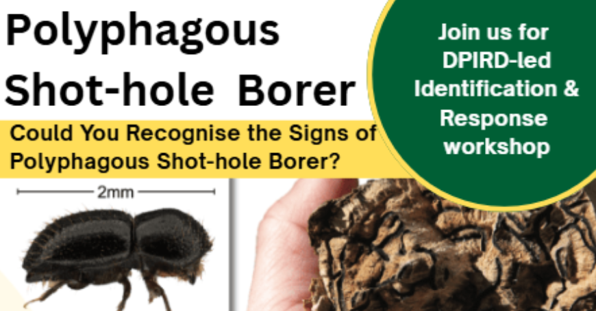 Polyphagous Shot-hole Borer Workshop - Dardanup Hall