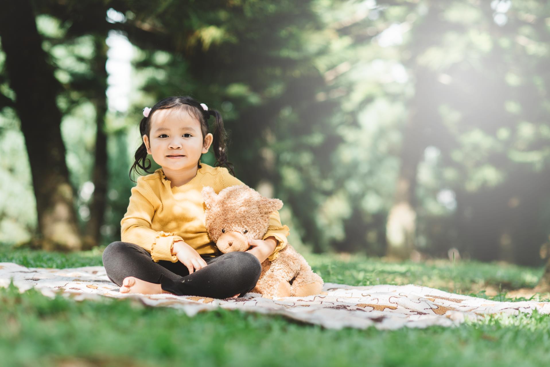Teddy Bears Picnic