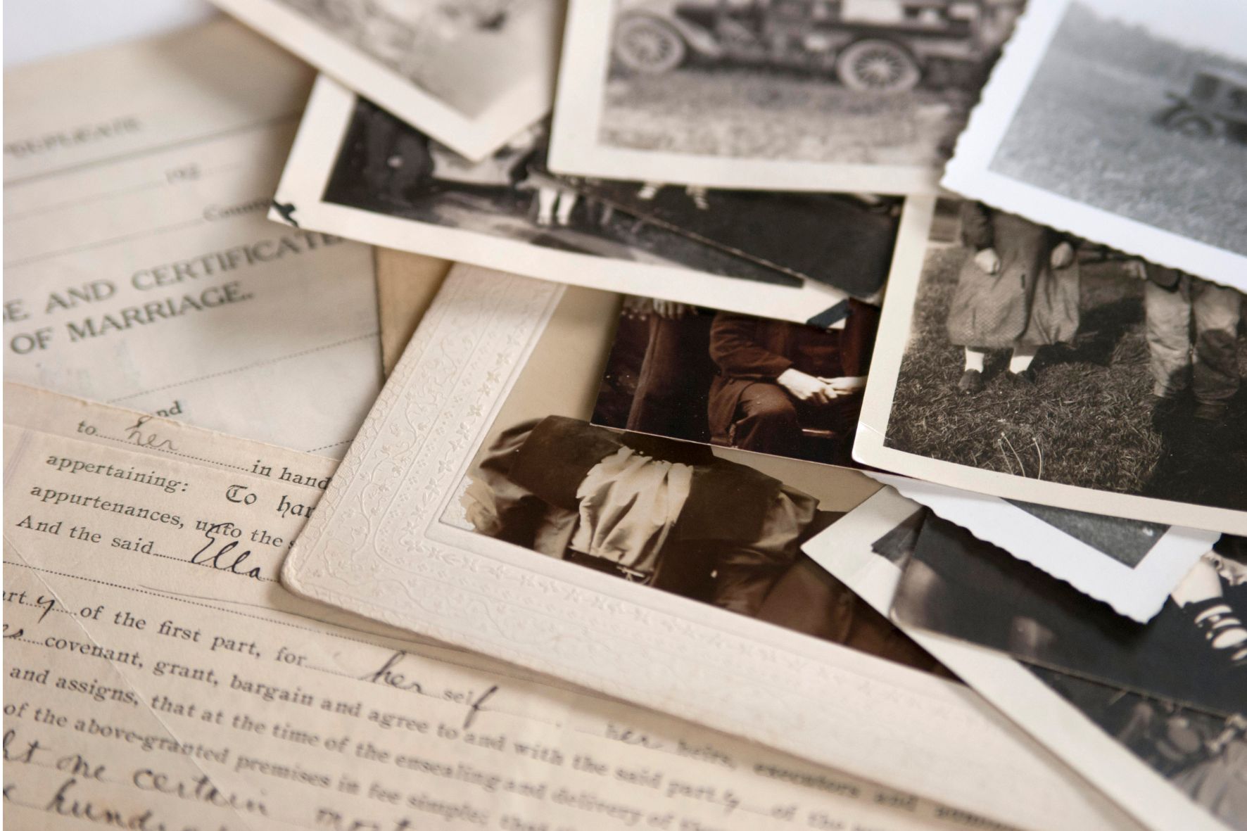 Discover your Family History