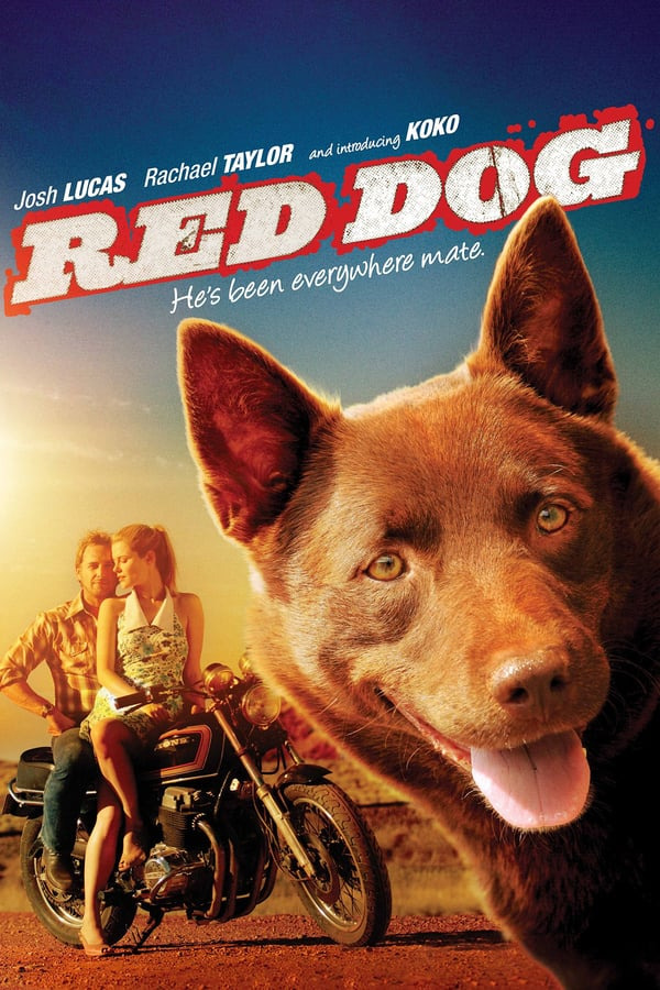 Movies by Moonlight: Red Dog