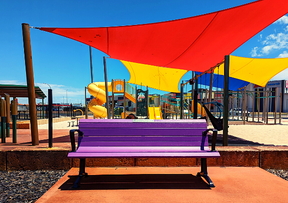 Council unveils symbolic purple benches